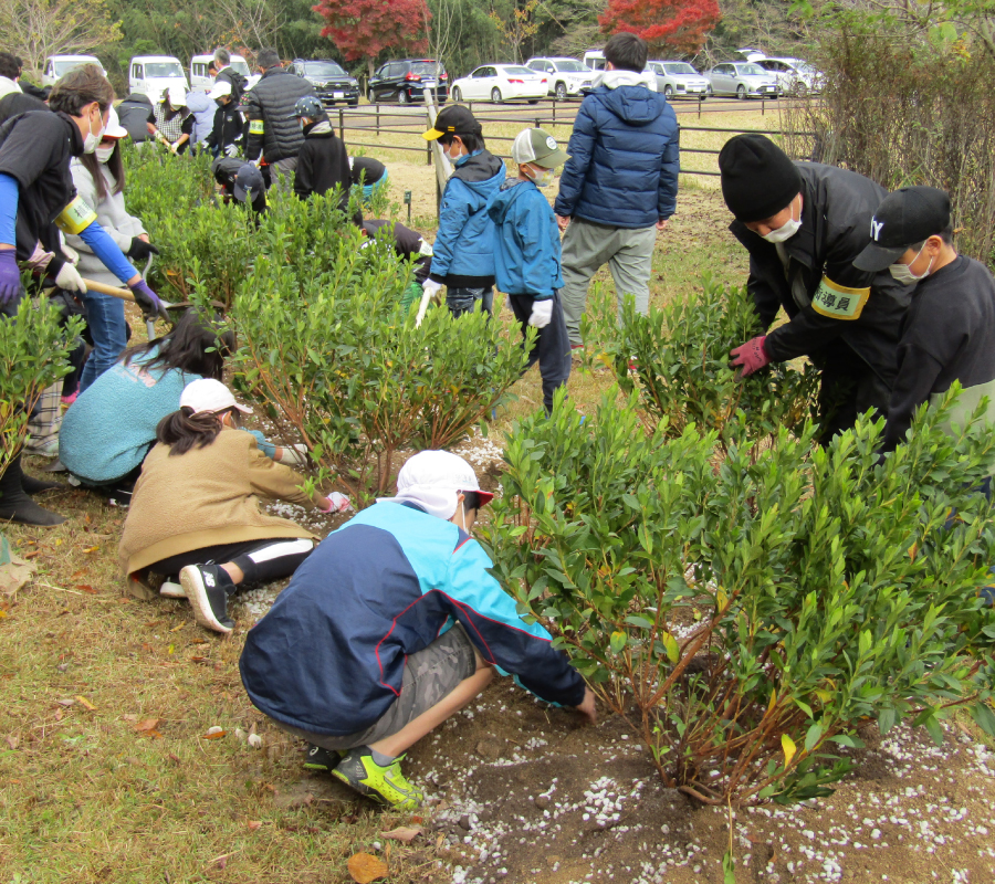 植林イベント